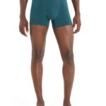 Icebreaker Men Cool-Lite Merino Anatomica Boxers Z04NXR104 Clothing Green Glory