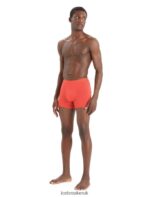 Icebreaker Men Cool-Lite Merino Anatomica Boxers Z04NXR105 Clothing Vibrant Earth - Image 3