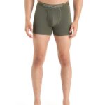 Icebreaker Men Merino Anatomica Boxers With Fly Z04NXR98 Clothing Loden