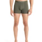 Icebreaker Men Merino Anatomica Boxers Z04NXR110 Clothing Loden
