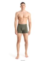 Icebreaker Men Merino Anatomica Boxers Z04NXR110 Clothing Loden - Image 3