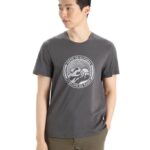 Icebreaker Men Merino Central Classic Short Sleeve T-Shirt Move to Natural Mountain Z04NXR340 Clothing Monsoon