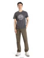 Icebreaker Men Merino Central Classic Short Sleeve T-Shirt Move to Natural Mountain Z04NXR340 Clothing Monsoon - Image 3