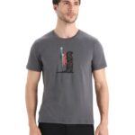 Icebreaker Men Merino Central Classic Short Sleeve T-Shirt Otter Paddle Z04NXR62 Clothing Monsoon