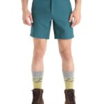 Icebreaker Men Merino Hike Shorts Z04NXR254 Clothing Green Glory