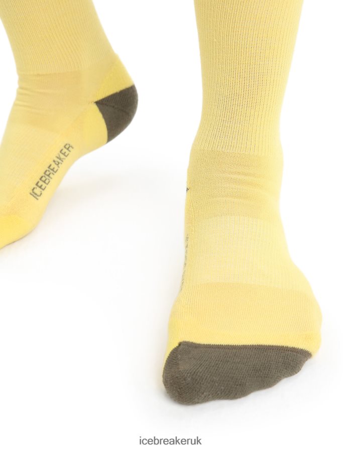 Icebreaker Men Merino Lifestyle Light Crew Socks Z04NXR295 Accessories Summer/Loden - Image 3