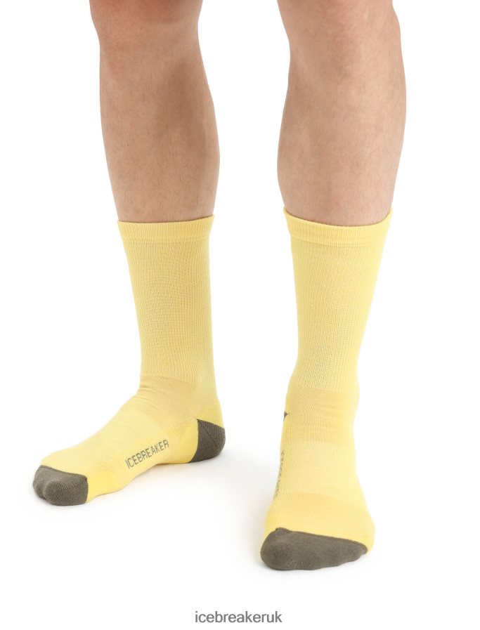 icebreaker_men_merino_lifestyle_light_crew_socks_z04nxr295_accessories_summer_loden.jpg Icebreaker Men Merino Lifestyle Light Crew Socks Z04NXR295 Accessories Summer/Loden - Image 1