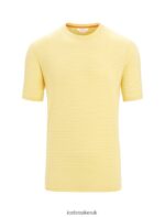 Icebreaker Men Merino Linen Short Sleeve T-Shirt Stripe Z04NXR70 Clothing Summer/Snow - Image 6