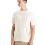 Icebreaker Men Merino Linen Short Sleeve T-Shirt Z04NXR81 Clothing Chalk