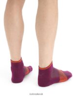 Icebreaker Men Merino Multisport Light Mini Socks Z04NXR292 Accessories Go Berry/Vibrant Earth - Image 2