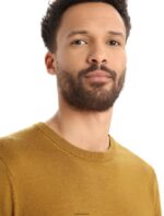 Icebreaker Men Merino Shearer Crewe Sweater Z04NXR352 Clothing Clove - Image 4