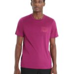 Icebreaker Men Merino Tech Lite II Short Sleeve T-Shirt Mountain Sunset Z04NXR82 Clothing Go Berry
