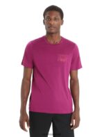 Icebreaker Men Merino Tech Lite II Short Sleeve T-Shirt Mountain Sunset Z04NXR82 Clothing Go Berry