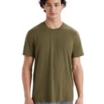 Icebreaker Men Tencel Cotton Short Sleeve T-Shirt Z04NXR77 Clothing Loden