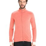 Icebreaker Men ZoneKnit Merino Long Sleeve Zip Top Z04NXR230 Clothing Vibrant Earth Heather/Chalk