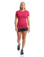 Icebreaker Women BodyfitZone Merino 150 Zone Short Sleeve Crewe Thermal Top Z04NXR891 Clothing Cherry - Image 3