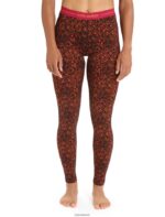 Icebreaker Women Merino 200 Oasis Thermal Leggings Lichen Z04NXR865 Clothing Black/Cherry