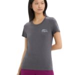 Icebreaker Women Merino Central Classic Short Sleeve T-Shirt Caravan Life Z04NXR663 Clothing Monsoon