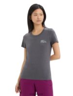 Icebreaker Women Merino Central Classic Short Sleeve T-Shirt Caravan Life Z04NXR663 Clothing Monsoon