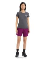 Icebreaker Women Merino Central Classic Short Sleeve T-Shirt Caravan Life Z04NXR663 Clothing Monsoon - Image 3