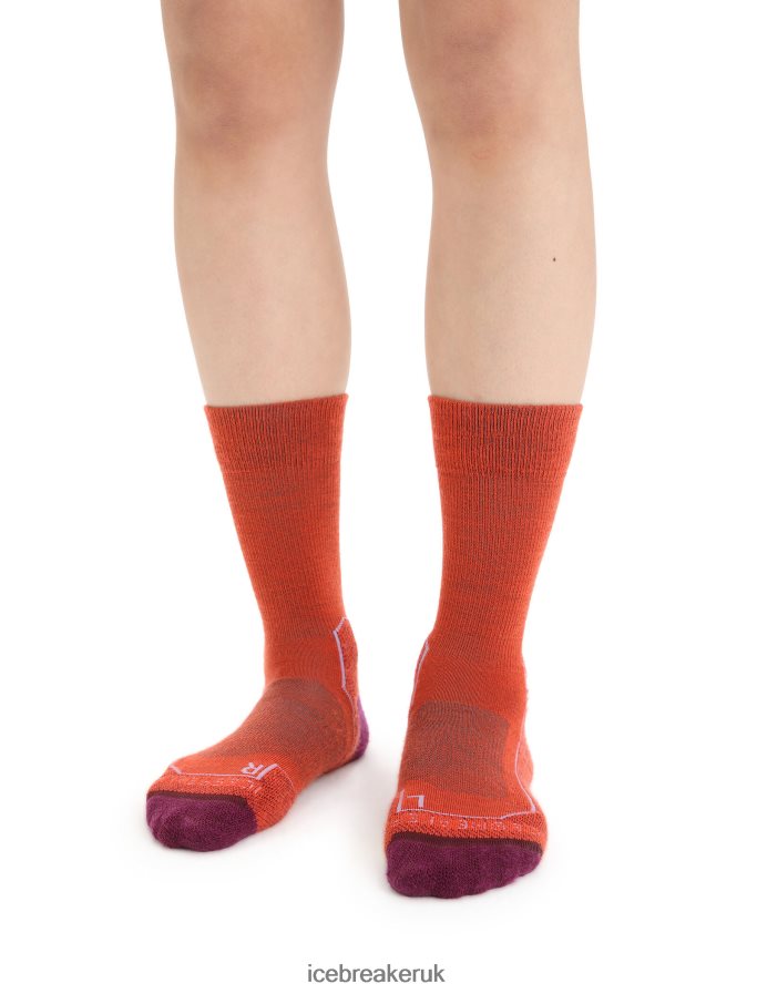 icebreaker_women_merino_hike_light_crew_socks_z04nxr784_accessories_vibrant_earth_heather_go_berry.jpg Icebreaker Women Merino Hike+ Light Crew Socks Z04NXR784 Accessories Vibrant Earth Heather/Go Berry - Image 1
