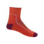 Icebreaker Women Merino Hike+ Light Mini Socks Z04NXR757 Accessories Vibrant Earth Heather/Go Berry