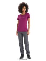 Icebreaker Women Merino Hike Pants Z04NXR743 Clothing Monsoon - Image 3