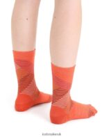 Icebreaker Women Merino Lifestyle Fine Gauge Crew Socks Dashes Z04NXR766 Accessories Vibrant Earth Heather/Go Berry - Image 2