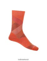 Icebreaker Women Merino Lifestyle Fine Gauge Crew Socks Dashes Z04NXR766 Accessories Vibrant Earth Heather/Go Berry - Image 4