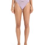 Icebreaker Women Merino Queens High Cut Brief Z04NXR556 Clothing Algae/Purple Haze
