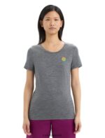 Icebreaker Women Merino Tech Lite II Short Sleeve T-Shirt Springtime Flowers Z04NXR623 Clothing Gritstone Heather