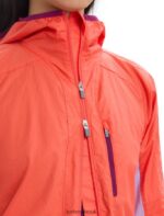 Icebreaker Women Shell+ Merino Cotton Windbreaker Z04NXR680 Clothing Vibrant Earth/Purple Gaze - Image 5